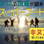 スーパーフード「キヌア」