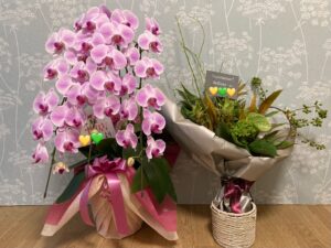 小顔サロンSellage～セラージュ～グランドオープンしました♪