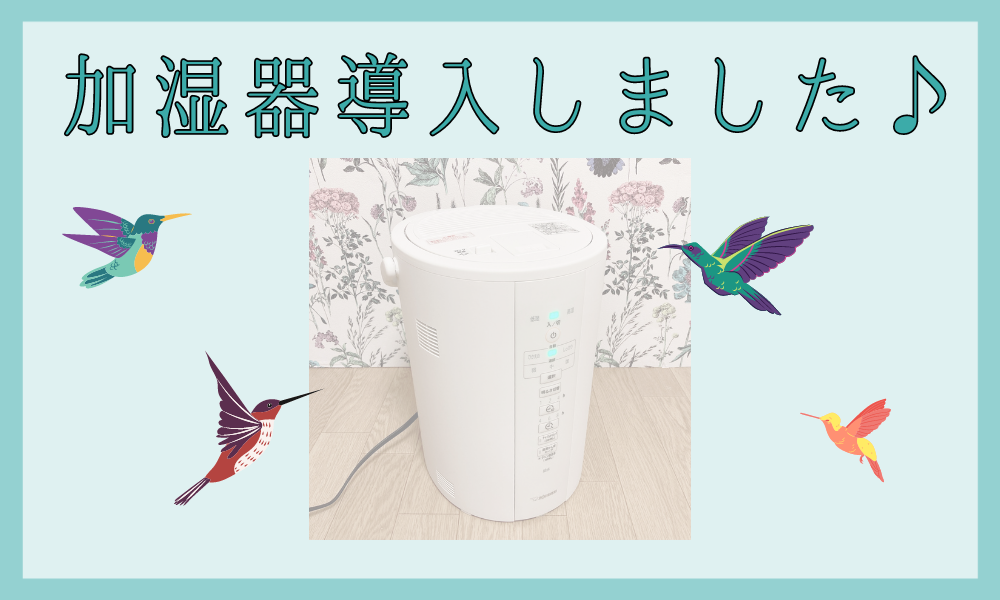 加湿器導入しました♪