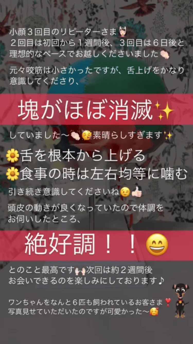 食いしばり･咬筋