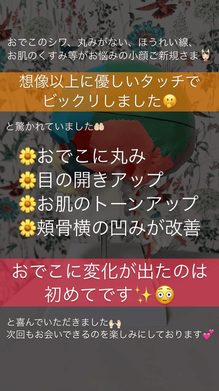 目の開き 小顔･フェイスライン お肌 その他