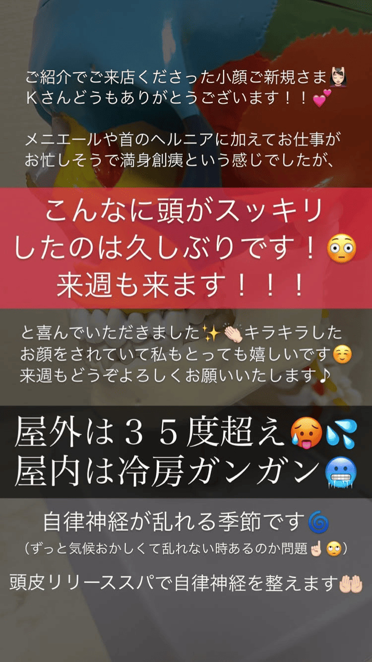 首･肩･体 頭痛 めまい･耳･鼻