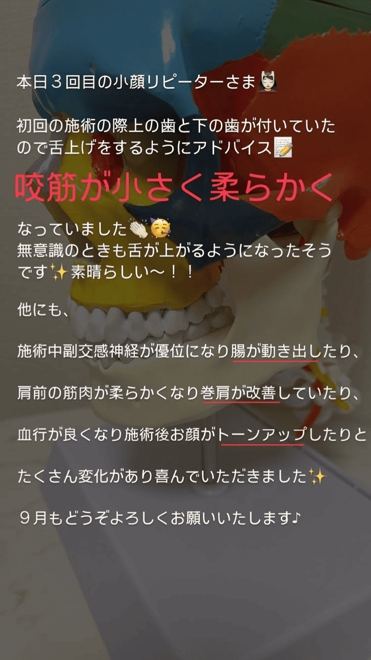 食いしばり･咬筋 お肌 首･肩･体 その他