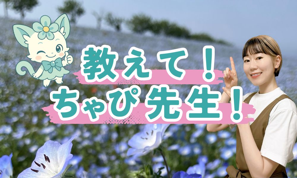 まだ指で洗ってるの？🫣スキャルプブラシ最強説🔥